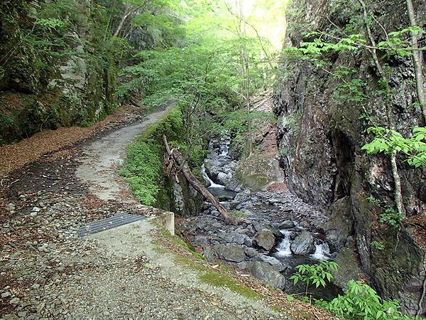崩れた橋の先にはまだ道が続いていました